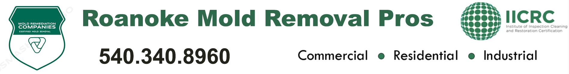 Roanoke Mold Removal Pros